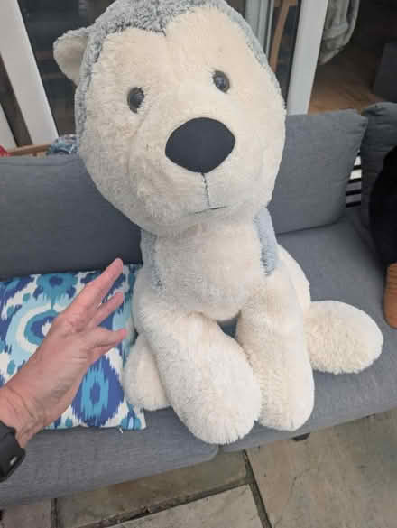 Photo of free Large Cuddly Toys (Dublin 16) #1