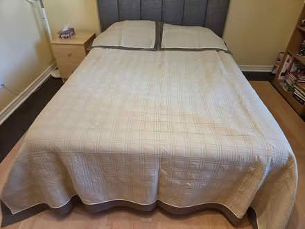 Photo of free King/Queen quilt (Alta Vista) #1