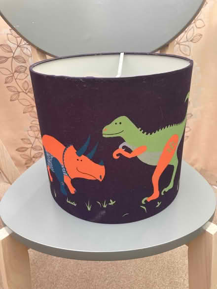 Photo of free Dinosaur lampshade (Chelsfield BR6) #1