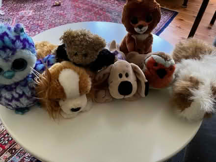 Photo of free Animal plush toys (Newington, EH16) #1