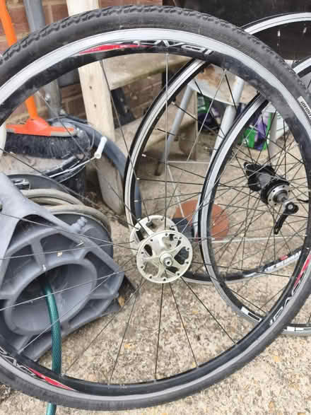 Photo of free Bicycle wheels (Havant PO9) #1