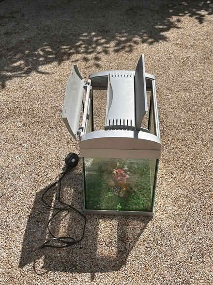 Photo of free Small fish tank (Barnham PO22) #3