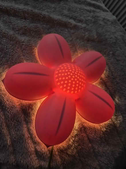 Photo of free Kids flower wall light (Wolverhampton WV10) #2