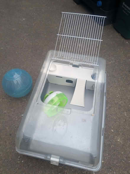 Photo of free Hamster/Guinea Pig hutch (Long Eaton NG10) #1