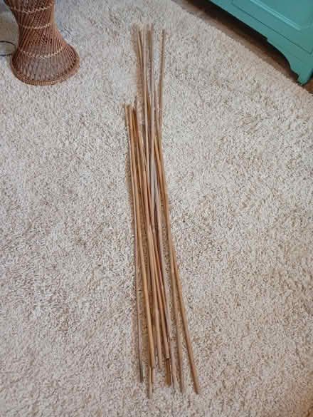 Photo of free Bamboo canes, various lengths (Buxworth SK23) #1