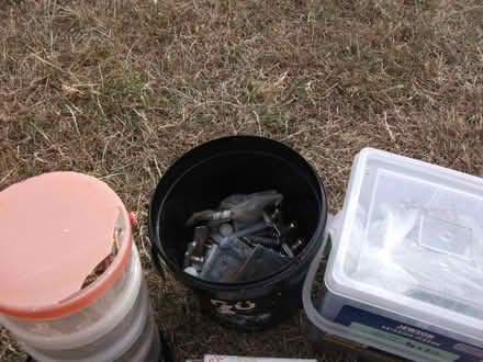 Photo of free Assortment of screws - as pictured (Woodthorpe LE11) #2