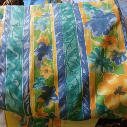 Photo of free pair curtains (Denton's Green WA10) #1