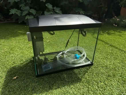 Photo of free Fish tank and accessories (TW11, Teddington) #2
