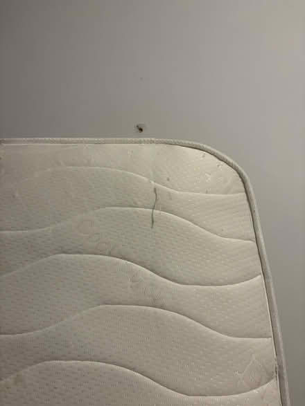 Photo of free Single spring mattress (London) #3