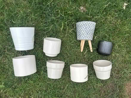 Photo of free Indoor plant pot selection (Chelmsford CM1) #1