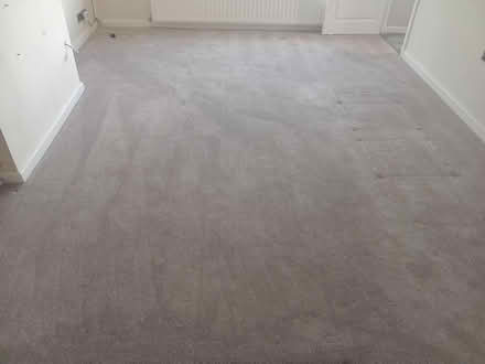 Photo of free 5mtr x 3mtr beige as new carpet (Bd74at) #1