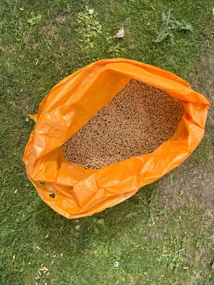 Photo of free Layers pellets (Sheffield 11) #1