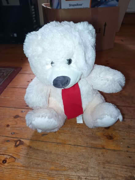 Photo of free Teddy bear (Priestwood RG42) #1