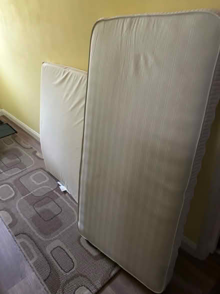 Photo of free Cot mattresses (Hailsham BN27) #1