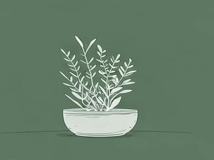 Photo of Aquarium plants (Orleton SY8) #1