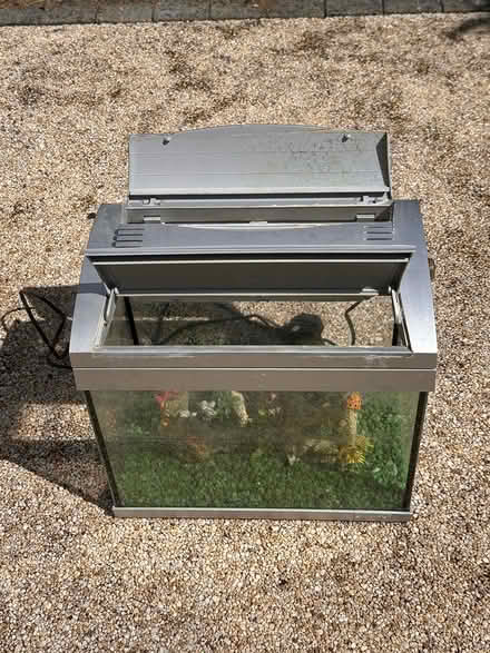 Photo of free Small fish tank (Barnham PO22) #1