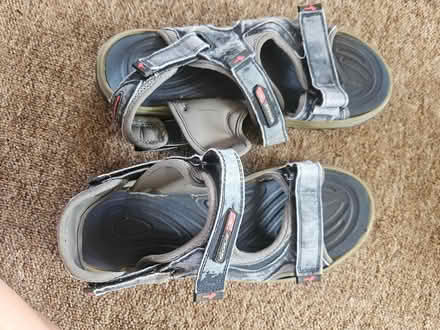 Photo of free Mens sandals size 10 uk (Baldock) #1