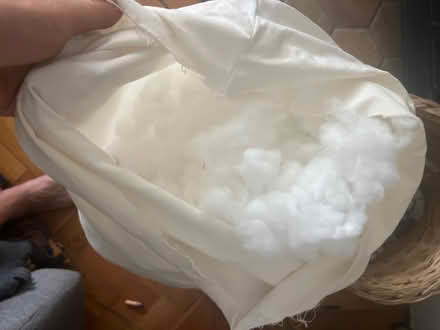 Photo of free Bag of cushion filling (Florence Park OX4) #1