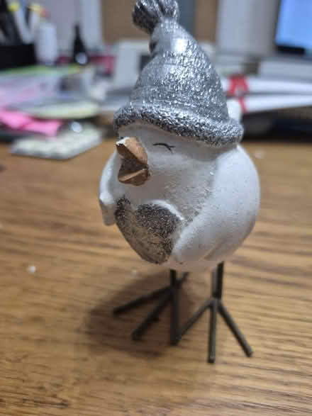 Photo of free Christmas bird (Arlesey) #1