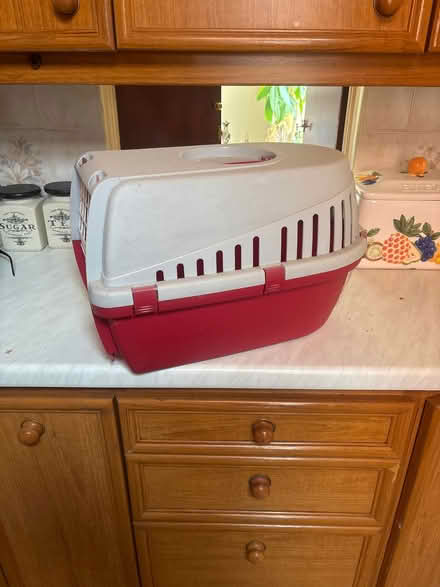 Photo of free Pet carrier (Great Harwood BB6) #2