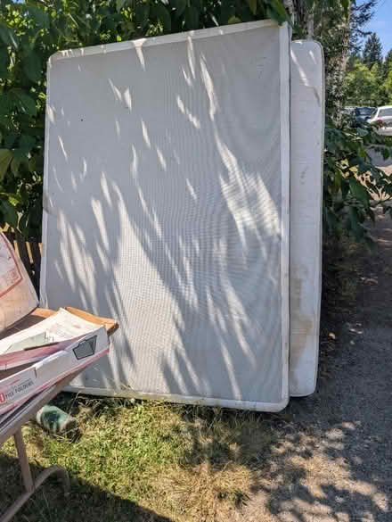 Photo of free Full size mattress and box spring (Tukwila) #1