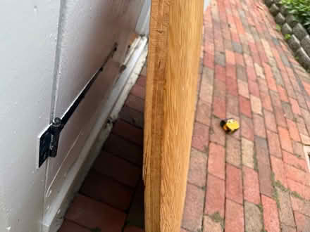 Photo of free Plywood (Phoenixville/Valley Forge) #1
