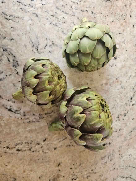 Photo of free artichokes, Portishead (Weston in Gordano BS20) #1