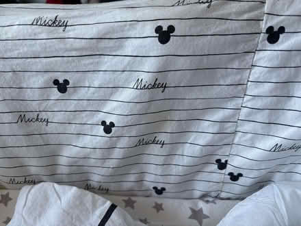 Photo of free Baby Moses basket and stand (Eynesbury PE19) #2