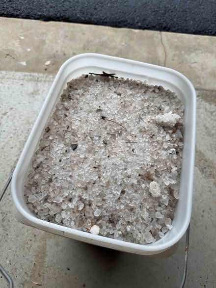 Photo of free Rock Salt (Mount Vernon, VA) #2