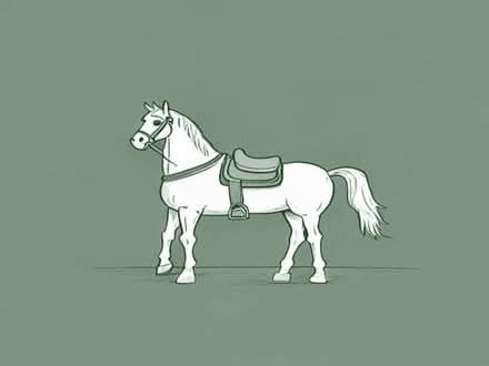 Photo of Saddle for horses (Sandy Park TQ13) #1