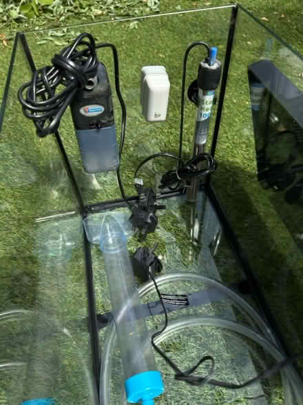 Photo of free Fish tank and accessories (TW11, Teddington) #3