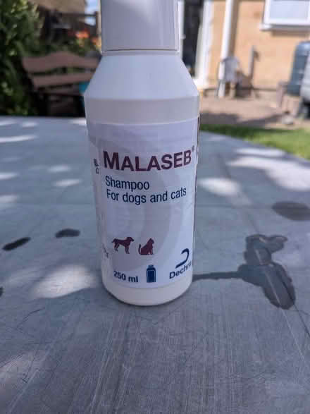 Photo of free Malasab shampoo for cats and dogs (Bathampton BA2) #1