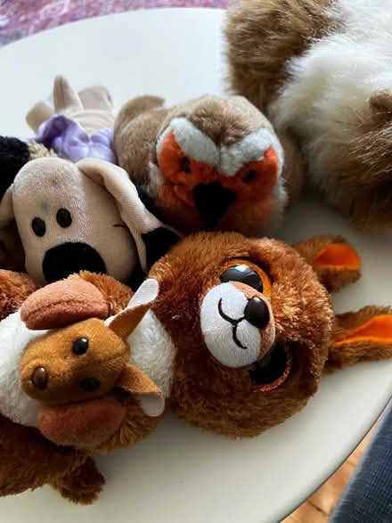 Photo of free Animal plush toys (Newington, EH16) #3