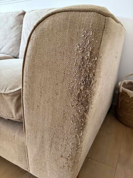 Photo of free Cream Sofa (Cosmetic Damage) (Sutton Bridge) #3