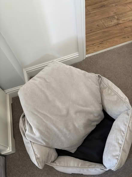Photo of free Small dog bed (Formby L37) #2
