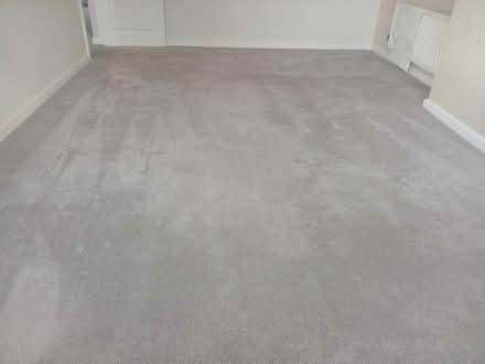 Photo of free 5mtr x 3mtr beige as new carpet (Bd74at) #2