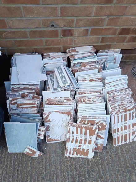 Photo of free Mint bathroom tiles (Bishopthorpe YO23) #1