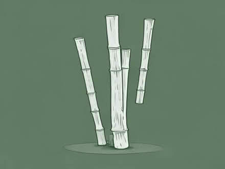 Photo of Bamboo Poles (Oldfield Park BA2) #1