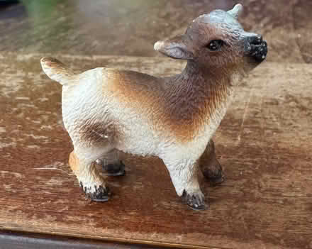 Photo of free Baby goat play figure (Belmont) #2