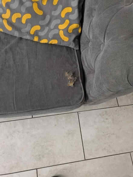 Photo of free Sofa bed (Haywards heath RH16) #3
