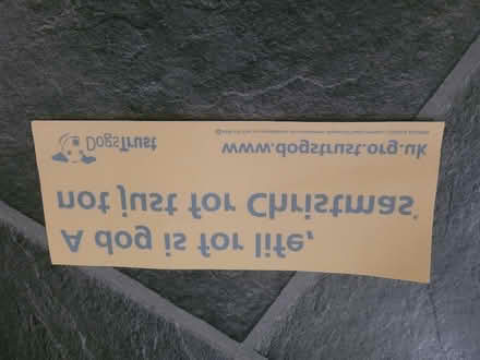 Photo of free Dogs trust car sticker (Shenley Fields B29) #1