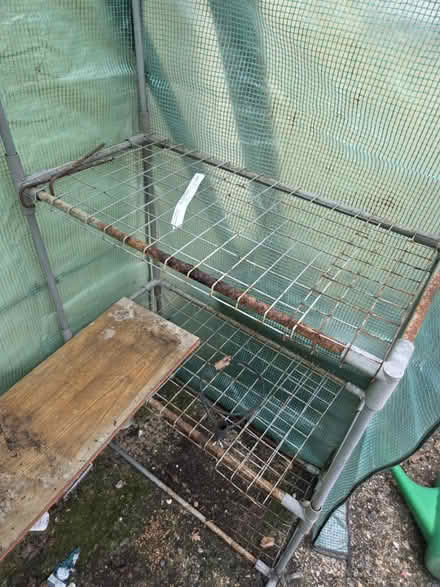 Photo of free Prefab / temporary greenhouse (Frimley) #4