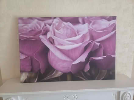 Photo of free Various pictures (Frimley) #3