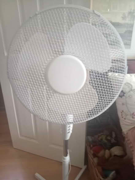 Photo of free Free standing fan (Lower Morden SM4) #2