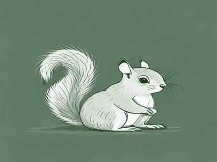 Photo of Squirrel/ bird proof mesh (Southsea PO5) #1