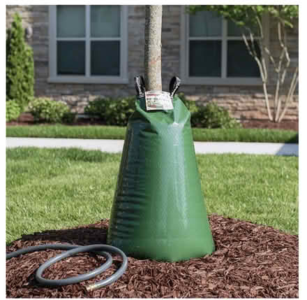 Photo of Tree watering bags (Beacon hill) #1