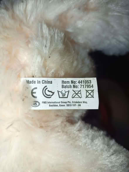 Photo of free Teddy bear (Priestwood RG42) #2
