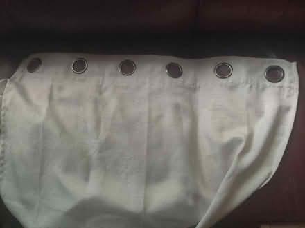 Photo of free Curtians (Hawthorne) #1