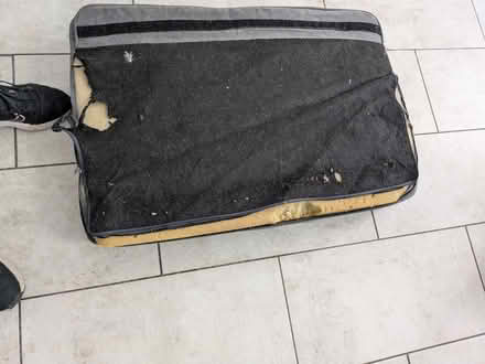 Photo of free Sofa bed (Haywards heath RH16) #4