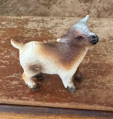 Photo of free Baby goat play figure (Belmont) #1